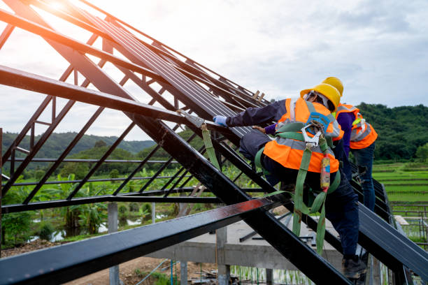 Best Storm Damage Roof Repair  in Swanton, OH