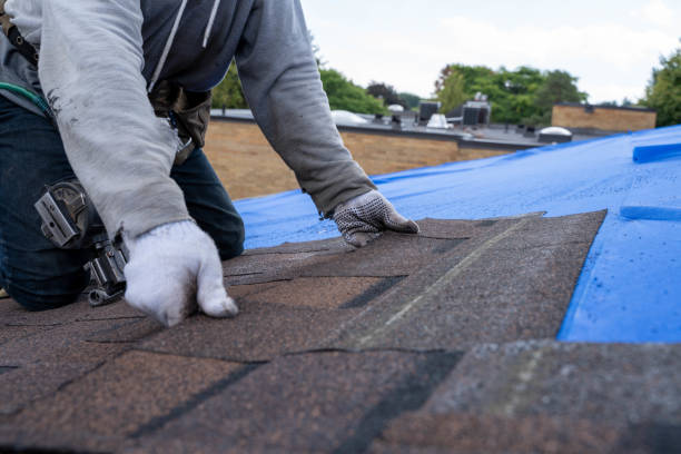Quick and Trustworthy Emergency Roof Repair Services in Swanton, OH