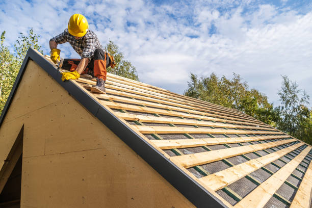 Best Roof Gutter Cleaning  in Swanton, OH