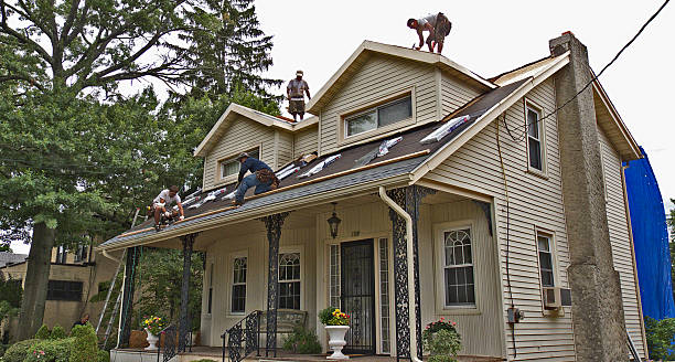 Best Roof Leak Repair  in Swanton, OH