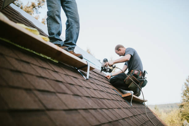 Best Flat Roof Repair Services  in Swanton, OH